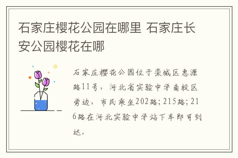 石家庄樱花公园在哪里 石家庄长安公园樱花在哪