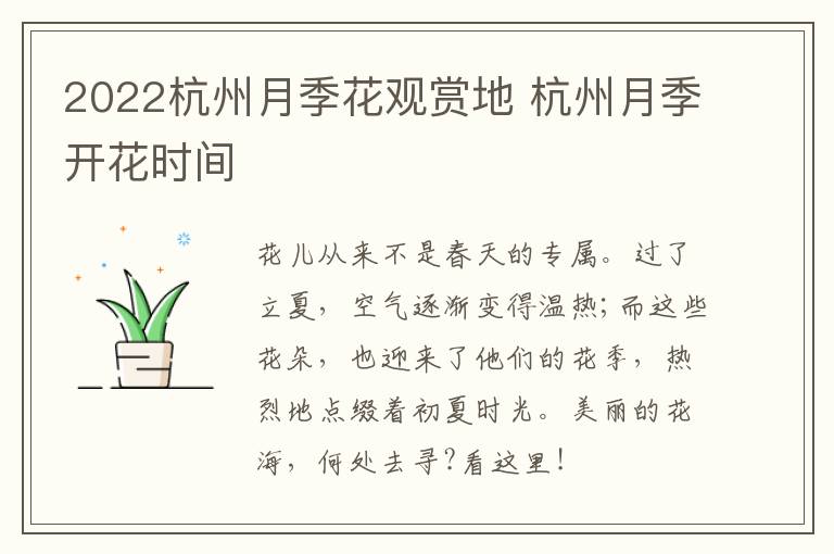 2022杭州月季花观赏地 杭州月季开花时间