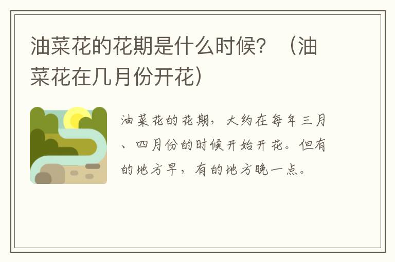 油菜花的花期是什么时候？（油菜花在几月份开花）