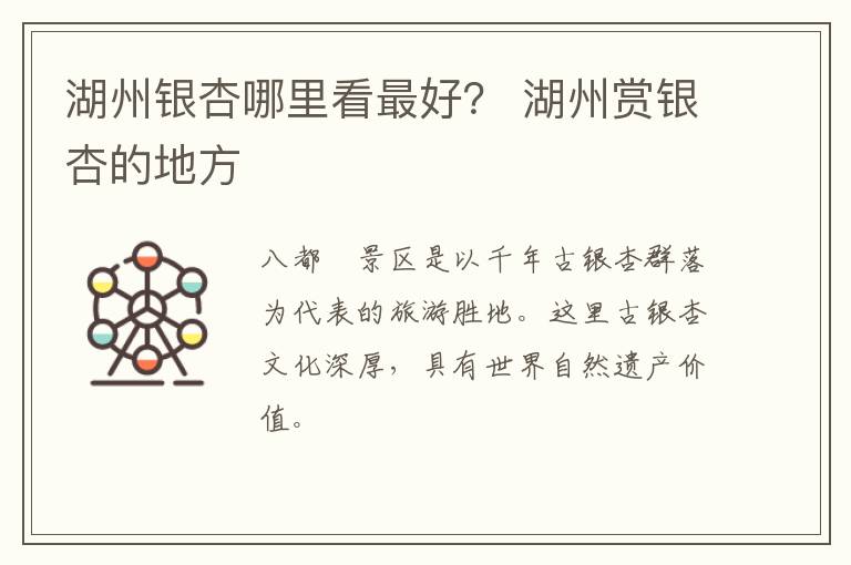 湖州银杏哪里看最好？ 湖州赏银杏的地方