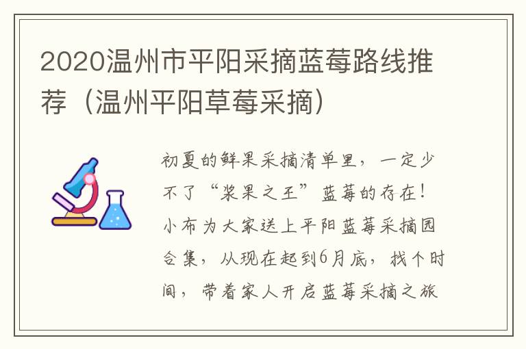 2020温州市平阳采摘蓝莓路线推荐（温州平阳草莓采摘）
