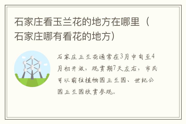 石家庄看玉兰花的地方在哪里（石家庄哪有看花的地方）