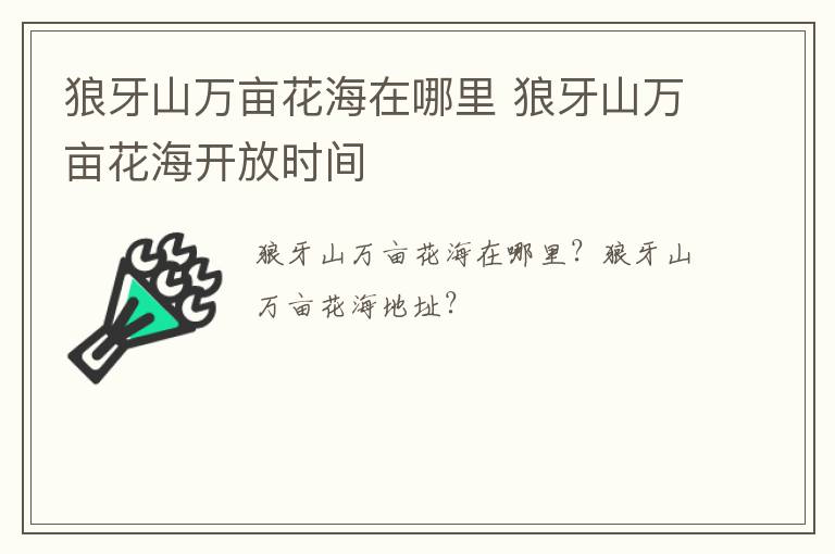 狼牙山万亩花海在哪里 狼牙山万亩花海开放时间