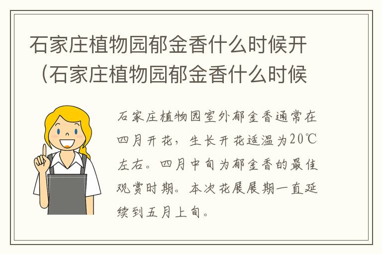石家庄植物园郁金香什么时候开（石家庄植物园郁金香什么时候开花）