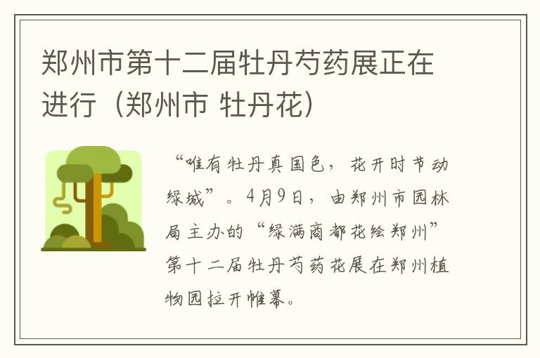 郑州市第十二届牡丹芍药展正在进行（郑州市 牡丹花）