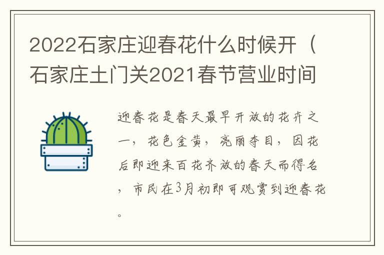 2022石家庄迎春花什么时候开（石家庄土门关2021春节营业时间）
