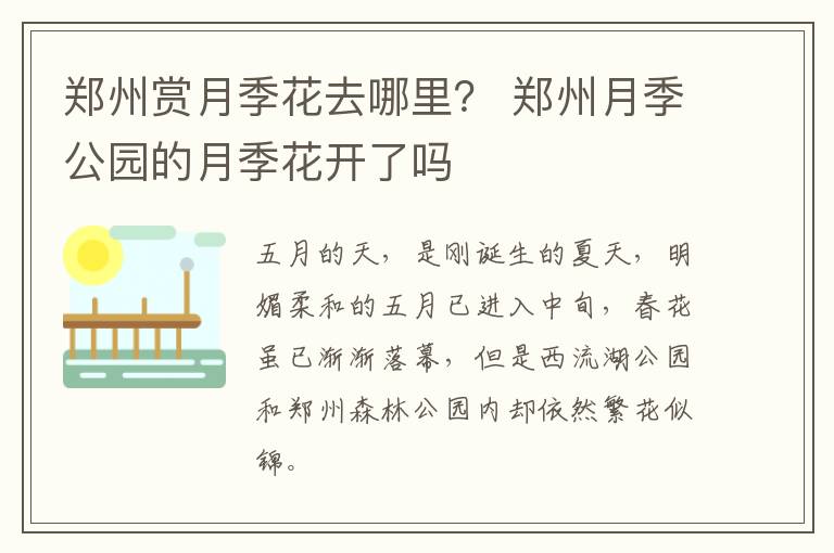 郑州赏月季花去哪里？ 郑州月季公园的月季花开了吗